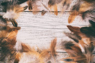 tonlu Beyaz ahşap arka plan karede kahverengi tüyleri