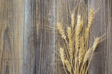 Spikelets buğday doğal eski ahşap masa arka plan üzerinde.