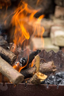 günlükleri bir mangal yakıyor. Alevler hasat ahşap arka plan üzerinde