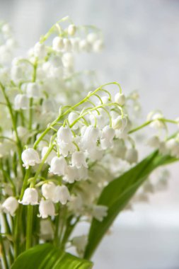 Lily vadi çiçekler. Çiçek lilyum vadideki zambak-ve--Vadisi ile doğal arka plan