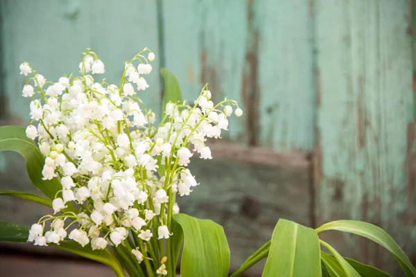Lily of the valley flowers. Natural background with blooming lilies of the valley lilies-of-the-valley