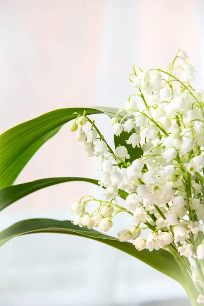 Lily of the valley de bloemen. Natuurlijke achtergrond met bloeiende lelies van de vallei lelies-van-dalen — Stockfoto