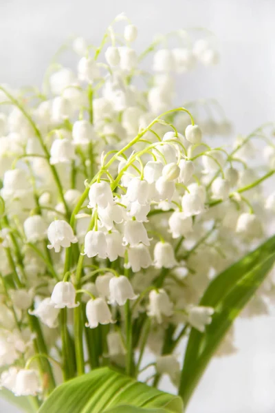 Lily of the valley flowers. Natural background with blooming lilies of the valley lilies-of-the-valley