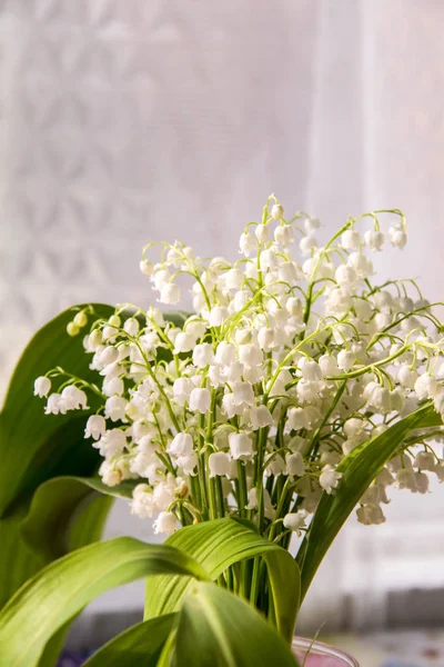 Lily of the valley de bloemen. Natuurlijke achtergrond met bloeiende lelies van de vallei lelies-van-dalen — Stockfoto