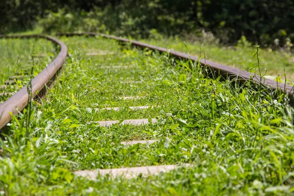 The mountain railway leaves through the forest beyond the horizon — Stock Photo, Image