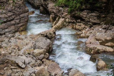 Yeşil orman ve birçok taşları akan nehir dağ