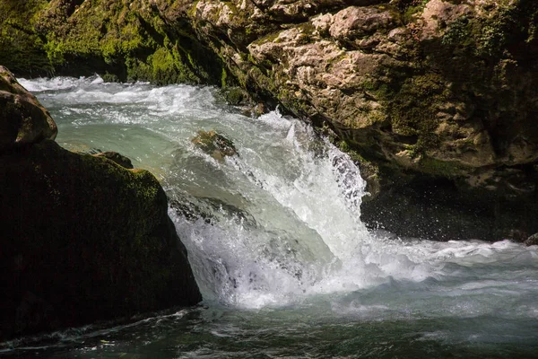 Mountain river flowing through the green forest and many stones