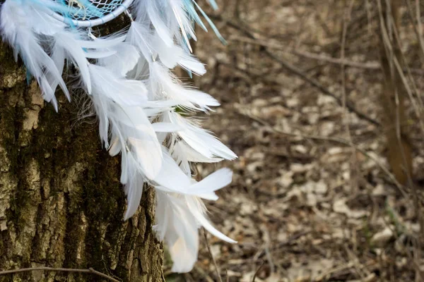 Attrape-rêves fait à la main avec des fils de plumes et des perles corde suspendue — Photo