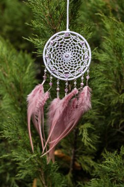 El yapımı rüya yakalayıcı iple asılı tüyler konu ve boncuk
