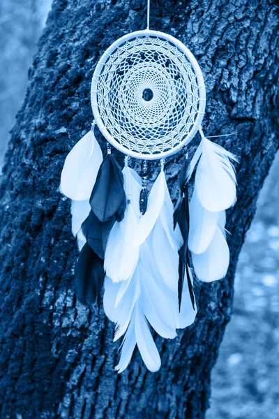 Dreamcatcher made of feathers, leather, beads, and ropes in classic blue trendy color of the year 2020. — Stock Photo, Image