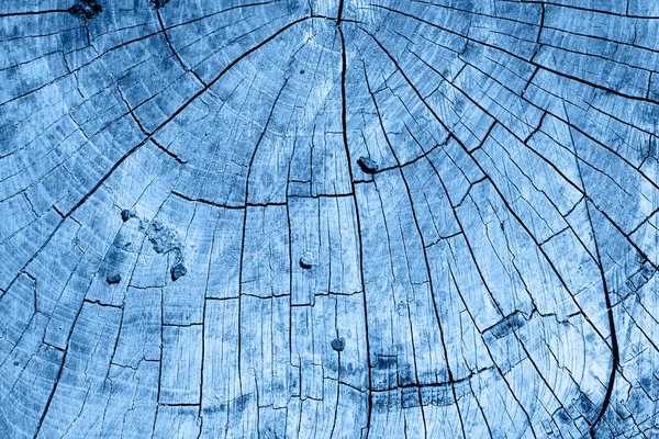 古典的な青のトレンディーな色の横切断木材。背景。2020年の色. — ストック写真