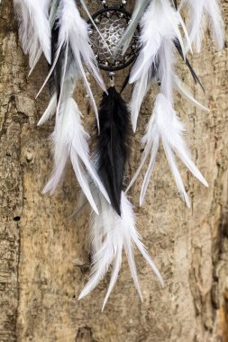 El yapımı rüya yakalayıcı iple asılı tüyler konu ve boncuk