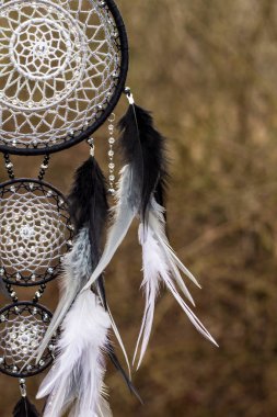 El yapımı rüya yakalayıcı iple asılı tüyler konu ve boncuk