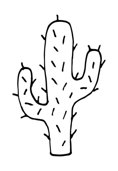 Ilustrasi Kartun Vektor Cactus Doodle Hand Digambar - Stok Vektor