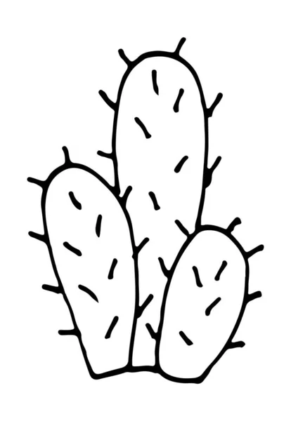 Illustration Cactus Vector Doodle Cartoon Hand Drawn — Stock Vector