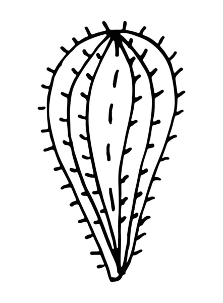 Obrázek Kaktus Vektoru Doodle Kreslené Ručně Kreslenou — Stockový vektor