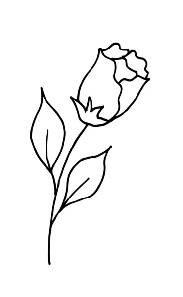 Rose Est Dessin Main Dessin Animé Doodle Bourgeon Rose Fleurs — Image vectorielle