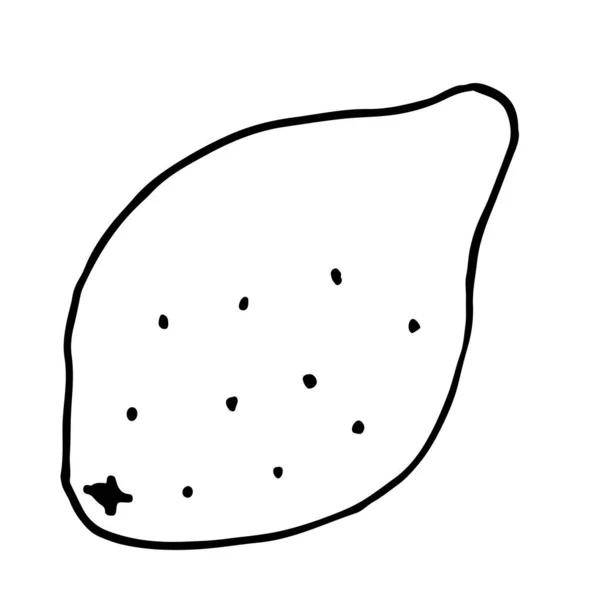 Abbildung Des Frischen Zitronenvektorsymbols Auf Weißem Hintergrund Limonenikone — Stockvektor