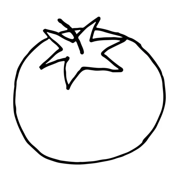 Handgezeichnetes Doodle Symbol Der Tomate Vektorillustration — Stockvektor
