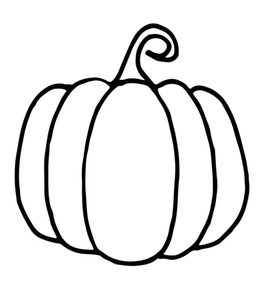 Doodle Pumpkin Vector Paint Hand Drawn Design Pumpkin Sketch Illustration — Stock Vector