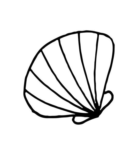 Vetor Doodle Mão Desenhado Mar Shell Isolado Fundo Branco — Vetor de Stock