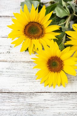 Sonbahar arkaplanı beyaz tahta üzerinde sarı ayçiçekleri ile kopyalama alanı ile