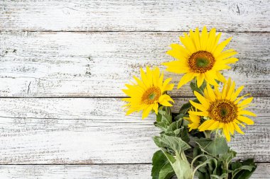 Sonbahar arkaplanı beyaz tahta üzerinde sarı ayçiçekleri ile kopyalama alanı ile