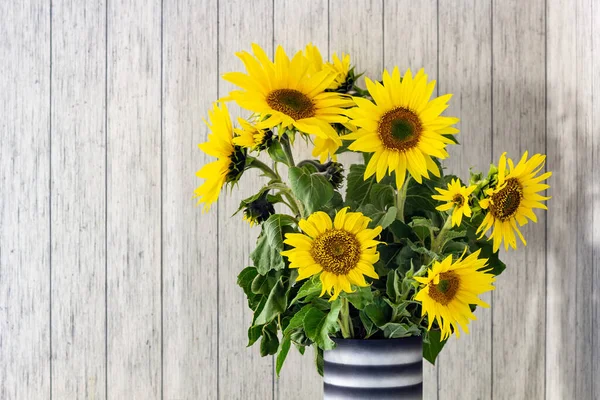 A bunch of sunflowers in a black vase on a rustic white wooden table with copy space