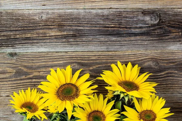 Autumn Background Yellow Sunflowers Old Brown Wooden Board Copy Space — Stock Photo, Image