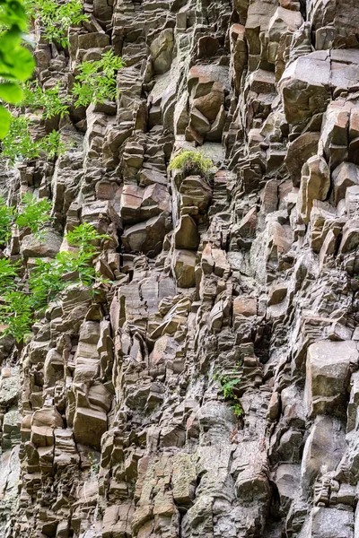 Fondo Piedra Fondo Pared Roca Con Hojas Verdes Textura Áspera — Foto de Stock
