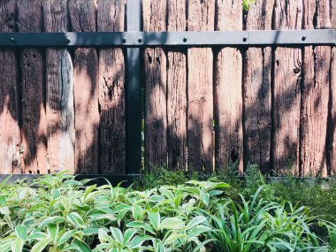 Güne yeni bir başlangıç ve baharda evdeki yeşil bahçede dinlenme