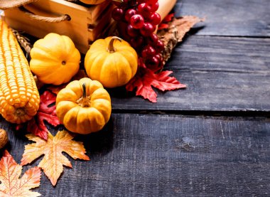 Sonbaharda meyve ve sebzeli Şükran Günü arkaplanı, sonbahar ve sonbahar hasat mevsimi. Yazı için alanı kopyala.