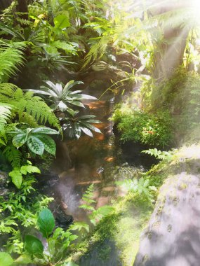 Güne yeni bir başlangıç ve baharda evdeki yeşil bahçede dinlenme