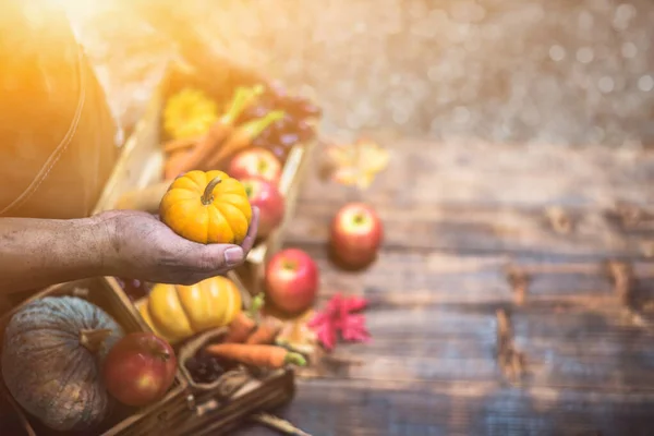 Boer Met Vers Fruit Handen Herfst Oogsten Overvloed Herfst — Stockfoto