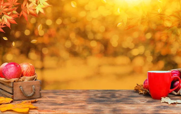 Herbstzeit Mit Obst Und Gemüse Füllhorn Der Herbsternte — Stockfoto