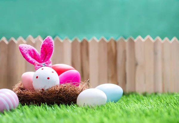 Feliz Día Pascua Conejito Huevo Para Celebrar Abril Pintura Decoración —  Fotos de Stock