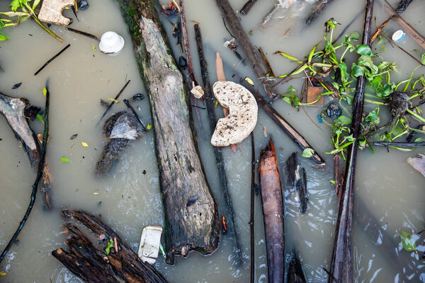 Мусор в реке разрушает окружающую среду. Концепция Всемирного дня окружающей среды
.