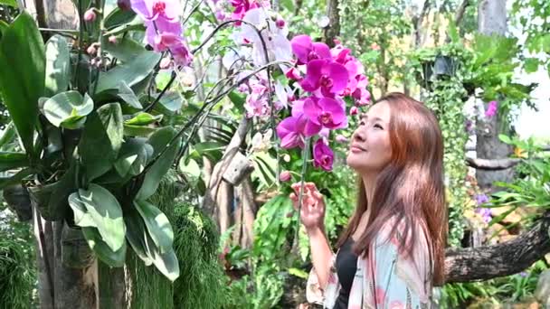 アジアの女性は庭でリラックスしてレクリエーションをします 家庭菜園と近代的な温室環境 — ストック動画