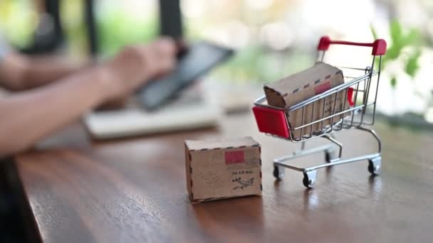 Close Footage Woman Miniature Shopping Cart Box Making Online Shopping — Stock Video