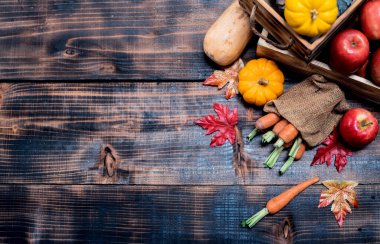 Sonbaharda meyve ve sebzeli Şükran Günü arkaplanı, sonbahar ve sonbahar hasat mevsimi. Yazı için alanı kopyala.