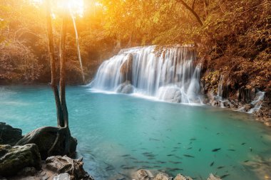 Ormandaki güzel şelale. Tropikal ve manzaralı. Tayland 'a seyahat ve tatil.