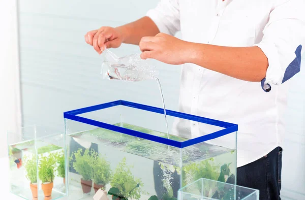 Evcil hayvan ve hobi için akvaryum. Plastik bir torba ve yeni bir balık..