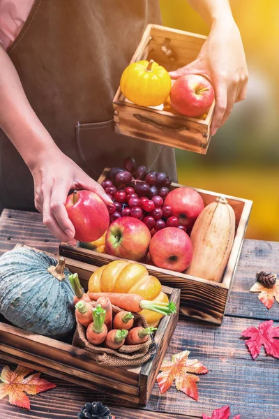 手里拿着新鲜水果的农夫 秋天收获的丰饶 秋天水果和蔬菜的季节 感恩节的概念 — 图库照片