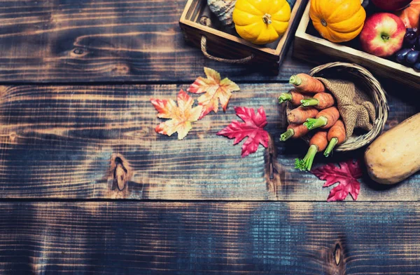 Herfst Oogsten Cornucopia Herfstseizoen Met Groente Fruit Thanksgiving Dag Concept — Stockfoto