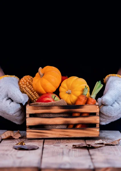 Boer Met Vers Fruit Handen Herfst Oogsten Cornucopia Herfstseizoen Met — Stockfoto