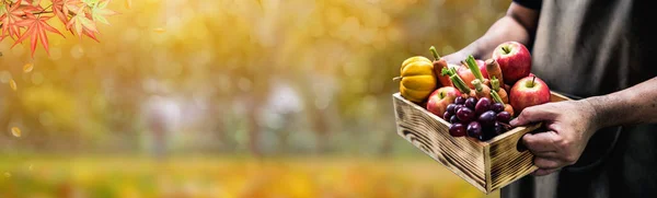 Musim Gugur Dan Gugur Harvest Cornucopia Thanksgiving Day Concept Fruit — Stok Foto