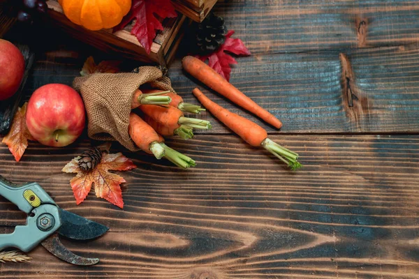 Cosecha Otoño Cornucopia Temporada Otoño Con Frutas Verduras Concepto Del —  Fotos de Stock