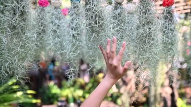 Asyalı kadın bahçede dinlenip dinleniyor. Ev bahçeleri ve modern sera ortamı.