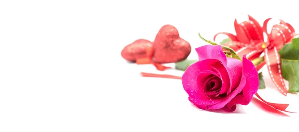 Цветущий Цветок Розы Фоне Дня Святого Валентина — стоковое фото