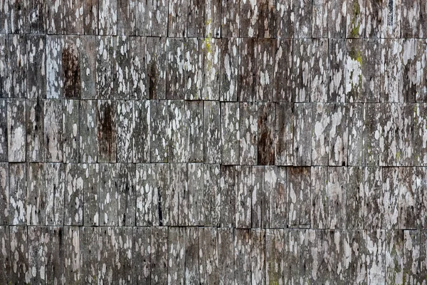 Wood Background Nature Texture — Stock Photo, Image